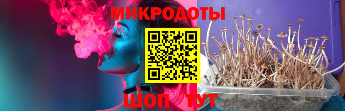 Ульяновск  Псилоцибиновые грибы GOLDEN TEACHER  Вход с VPN  Галлюциногенные грибы мицелий 